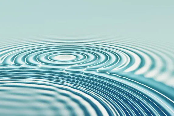 Casino All In Tacaíocht